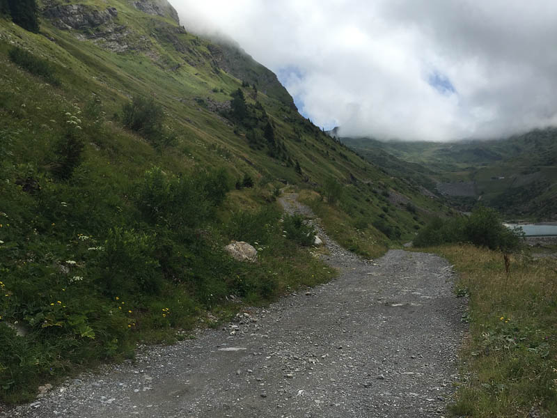 Avoriaz, Haut-Savoie, Frankrig, 1800m højde d. 30 juli 2015. Fotograf; John Vergo