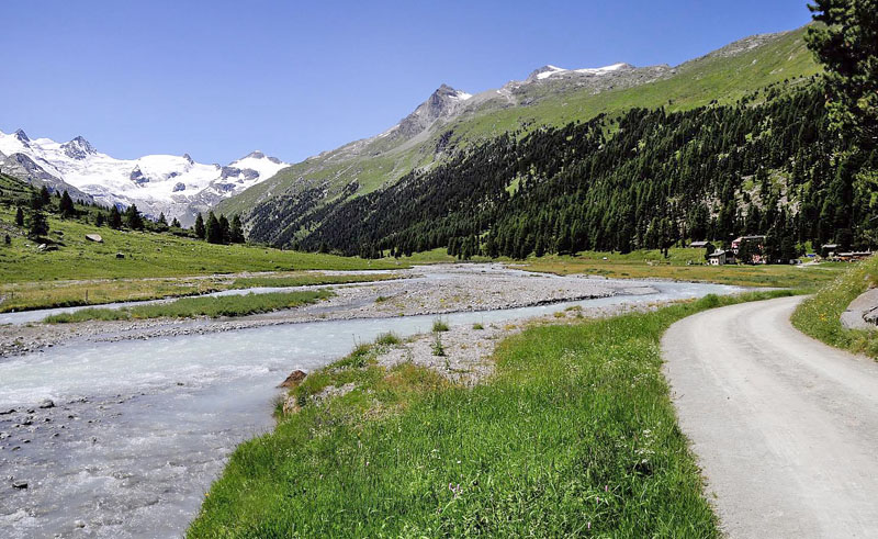 Lokalitet for Alpin Perlemorrandje, Coenonympha gardetta. Val Roseg d. 9 juli 2015. Fotograf; Tom Nygaard Kristensen
