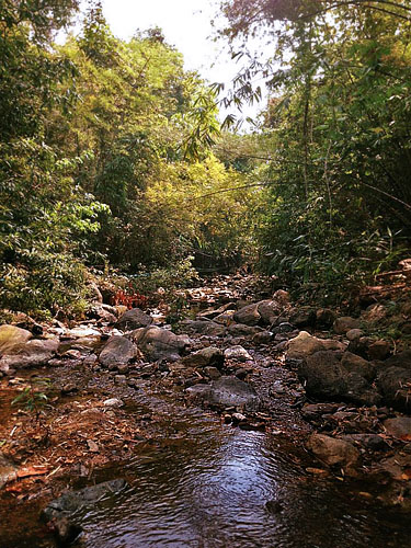 Mae Pak Phrae, Wang Chin District, Chiang Mai, Thailand March 7, 2016. Photographer; Nikolaj Kleissl