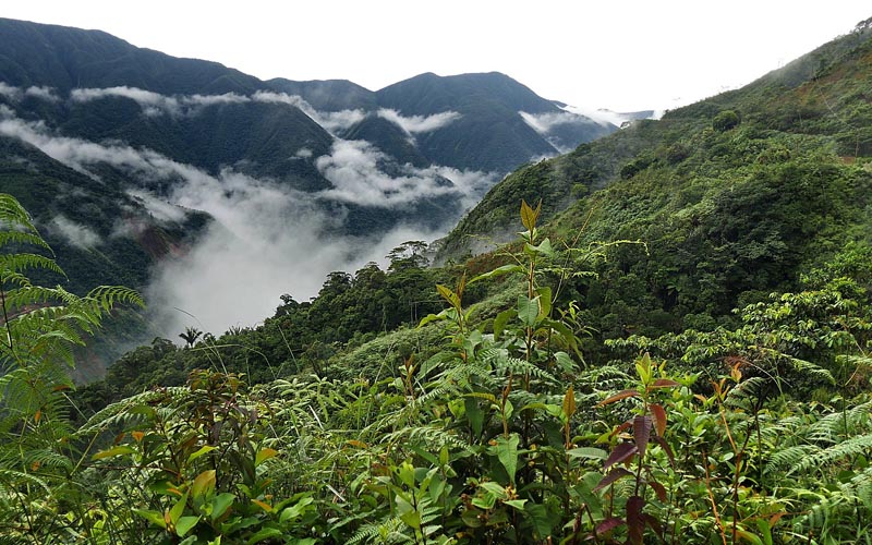 Consata between Mapiri and Sorata, Yungas, Bolivia February 20, 2016. Photographer; Peter Møllmann
