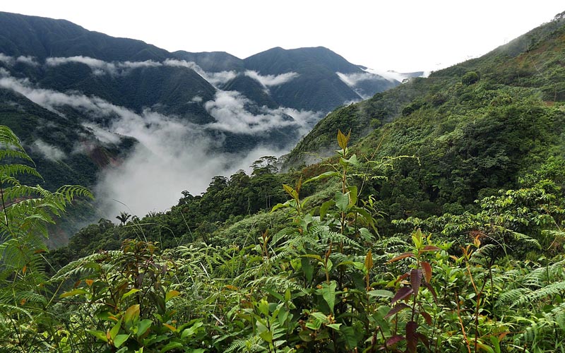 Consata between Mapiri and Sorata, Yungas, Bolivia February 20, 2016. Photographer;  Peter Mllmann