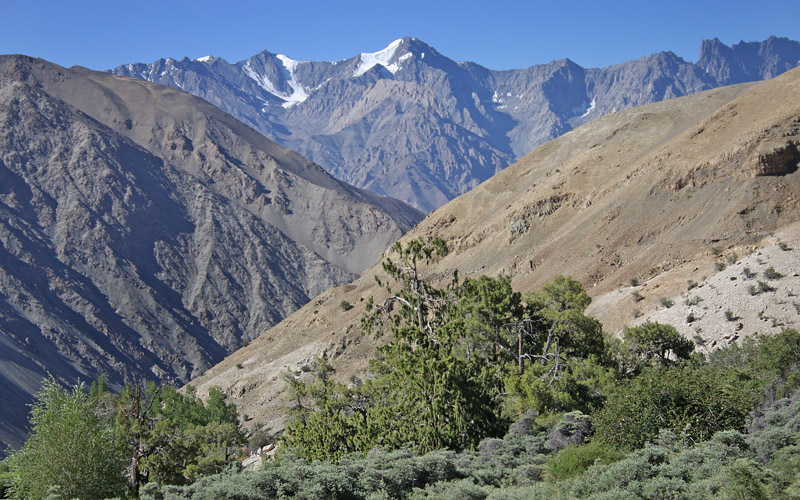 Udsigt fra Hemis Shukpanchen Village, 3750 m. Ladakh, India 21. Juli 2016. Fotograf; Erling Krabbe