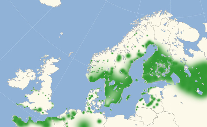 Argusblfugl nordeuropisk udbredelseskort lavet af Lars Andersen december 2016.