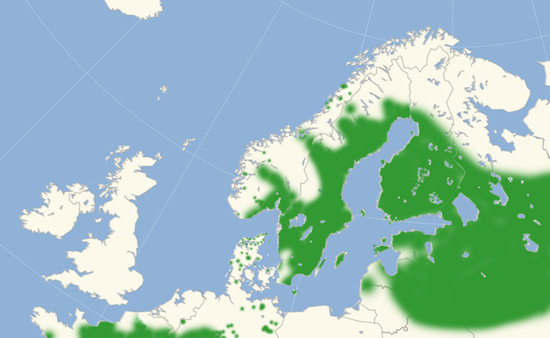 Engblfugl nordeuropisk udbredelseskort lavet af Lars Andersen december 2016.