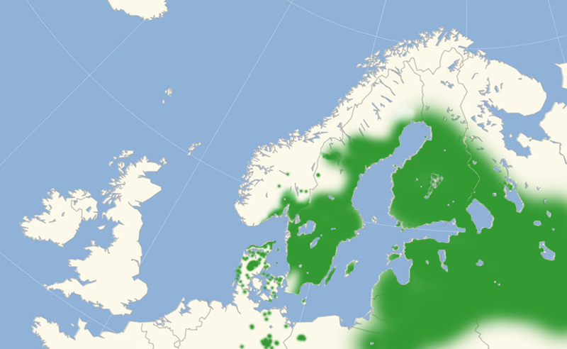 Isblfugl nordeuropisk udbredelseskort lavet af Lars Andersen december 2016.