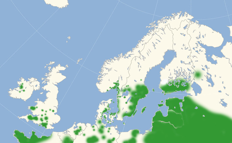 Guldhale nordeuropisk udbredelseskort lavet af; Lars Andersen 31 august 2019