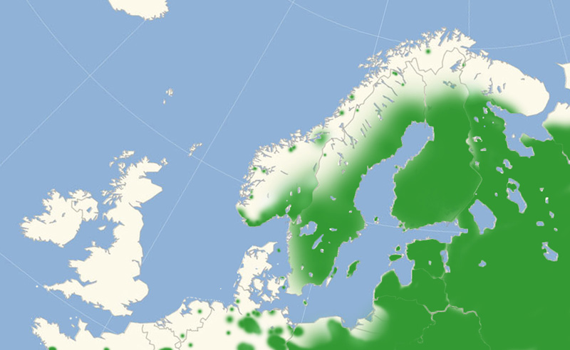 Nordeuropisk udbredelseskort over Nymphalis antiopa. April 2019. Illustrator; Lars Andersen 