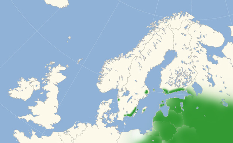 Østlig Takvinge udbredelse i Nordeuropa 2016-17. Kort lavet i april 2017 af Lars Andersen