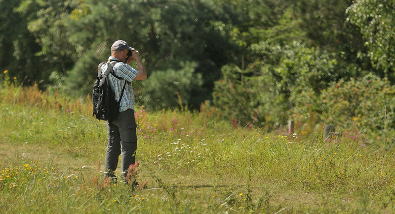 Erling Krabbe p Bt Plantage Dige, Falster, Danmark d. 21 august 2016. Fotograf: Lars Andersen