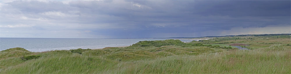 Ellebakke, Uggerby Strand d. 5 juli 2016. Fotograf; Lars Andersen