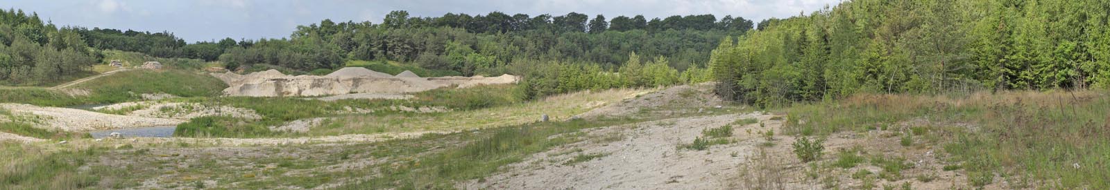 Lokalitet for Nldens Takvinge, Aglais urticae.  Mogenstrup Gl. Grusgrav, Sydsjlland d. 10 juni 2016. Fotograf: Lars Andersen