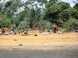 kvinder der slger frugt, fra vejen mellem Kibi og Kumasi, Ghana d. 17 januar 2006. Fotograf: Henrik Bloch