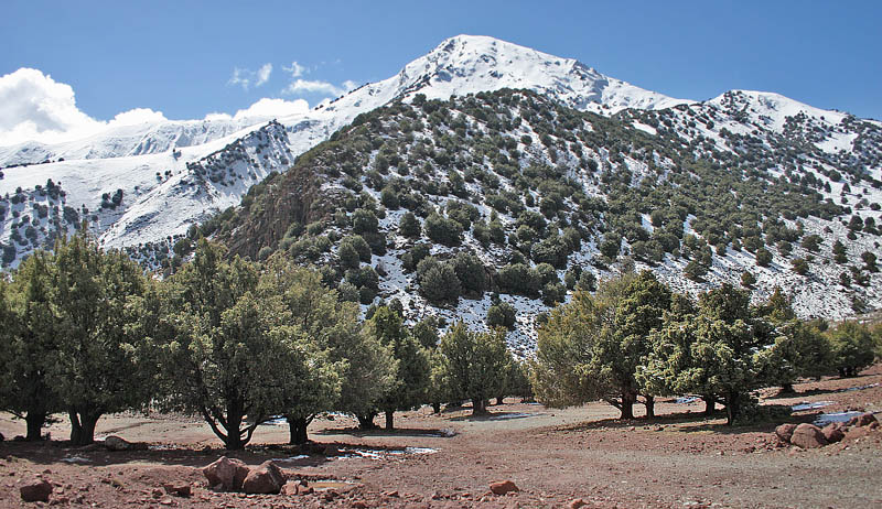 Atlas Mountains, Morocco d. 23 february 2017. Photographer; Erling Krabbe