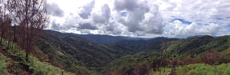 Caranavi 1400 m., Yungas, Bolivia January 13, 2017. Photographer;  Nikolaj Kleissl