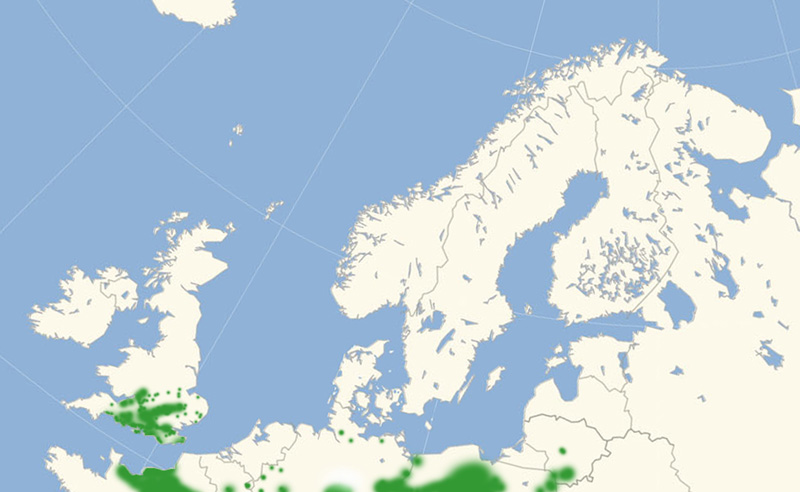 Slvblfugl nordeuropisk udbredelseskort lavet af Lars Andersen december 2016.