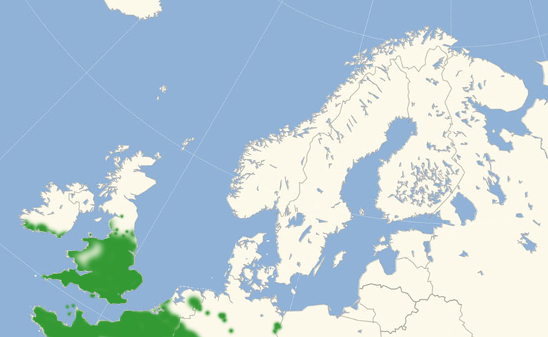 Buskrandje, Pyronia tithonus Nordeuropisk udbredelseskort lavet af Lars Andersen april 2017.