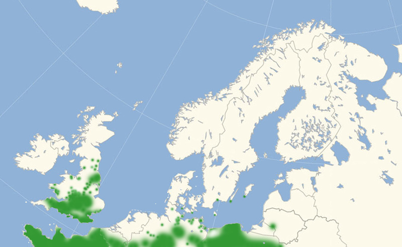 Skakbrtrandje nordeuropisk udbredelseskort lavet af Lars Andersen august 2017.