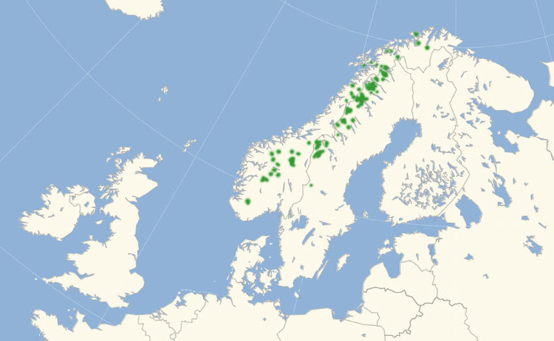 Fjeldperlemorsommerfugl Nordeuropisk udbredelseskort lavet af Lars Andersen juli 2017.