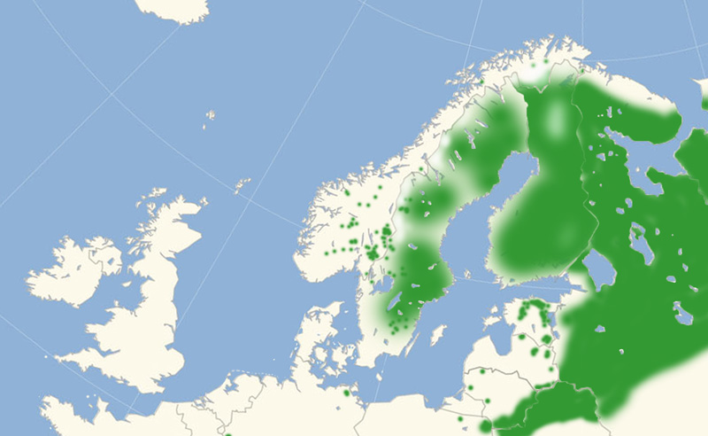 Sortringet Perlemorsommerfugl Nordeuropisk udbredelseskort lavet af Lars Andersen juli 2017.