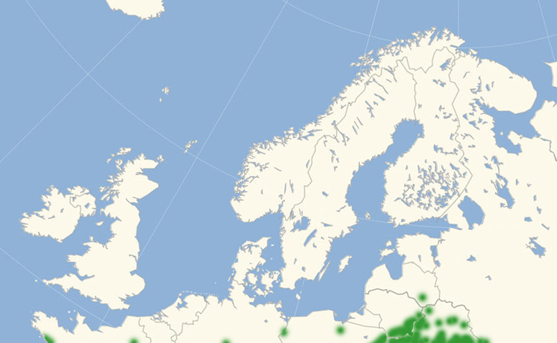 Rd Pletvinge  Nordeuropisk udbredelse 2010-17. Kort lavet i september 2017 af Lars Andersen