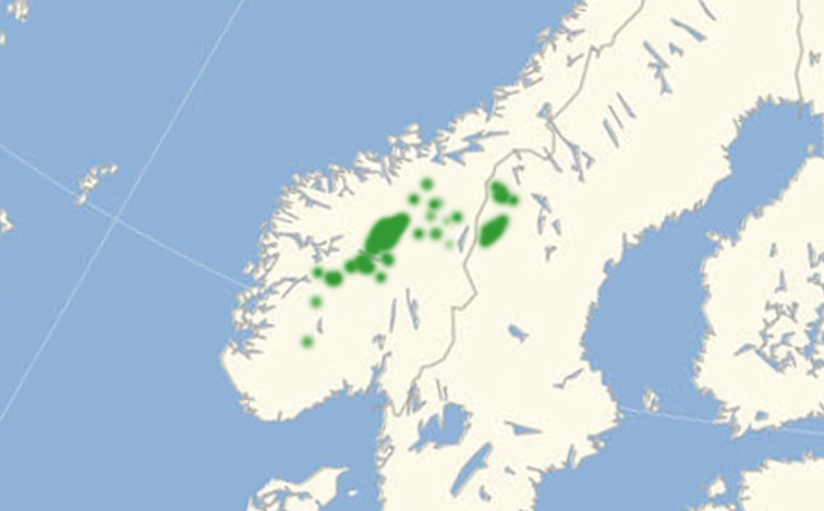 Nordeuropæisk udbredelseskort for Agriades orbitulus lavet af Lars Andersen juli 2017.