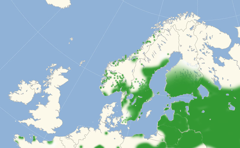 Skovvejrandje Nordeuropisk udbredelseskort lavet af Lars Andersen januar 2017