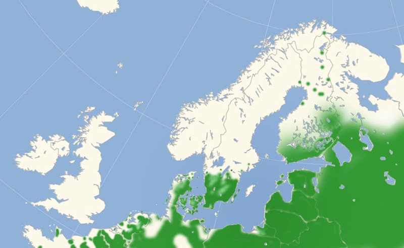 Nldesommerfugl Norduropisk udbredelseskort lavet af Lars Andersen marts 2019