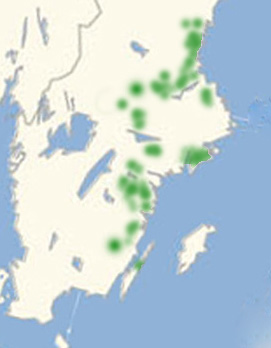 renprispletvinge udbredelse i Nordeuropa. Kort lavet af; Lars Andersen juni 2017