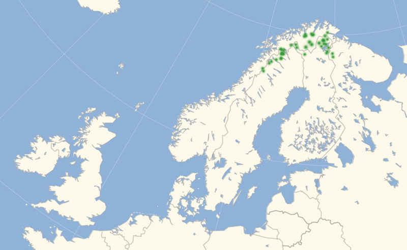 Polarpletvinge nordeuropisk udbredelseskort lavet af Lars Andersen september 2017