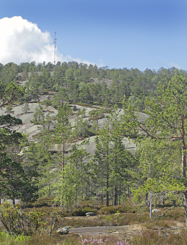 Telemarken, Norge d. 15 juli 2017. Fotograf; Lars Andersen