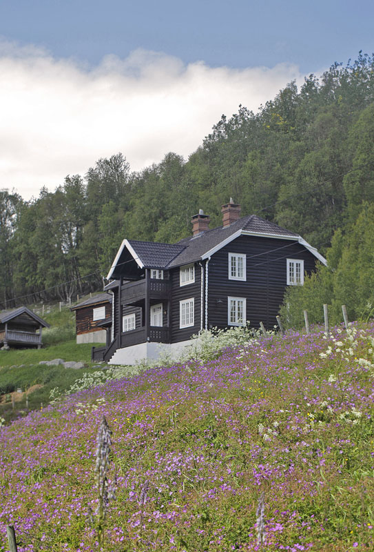 Lokalitet for Sortbrun Blfugl. Hheim, Vats, Buskerud, Norge d. 16 juli 2017. Fotograf; Lars Andersen