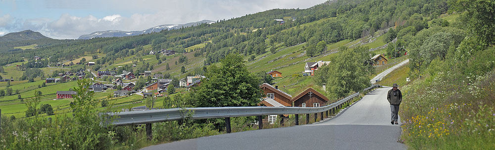 Lokalitet for Markperlemorsommerfugl. Hheim, Vats, Buskerud, Norge d. 16 juli 2017. Fotograf; Lars Andersen