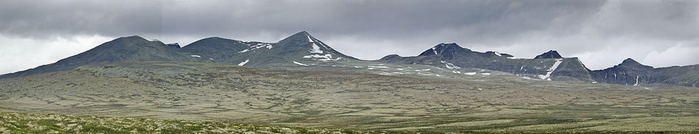 Dovre Nasjonalpark, Oppland, Norge d. 18 juli 2017. Fotograf; Lars Andersen