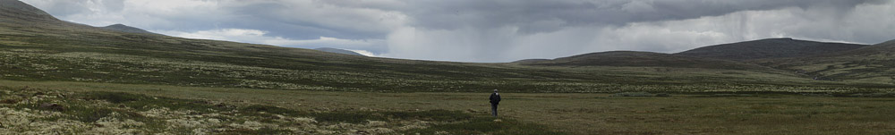 Rondane Nasjonalpark, Oppland, Norge d. 18 juli 2017. Fotograf; Lars Andersen