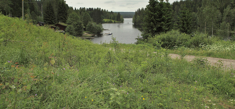 Helgesjøn, Hedmark, Norge d. 16 juni 2017. Fotograf; Lars Andersen