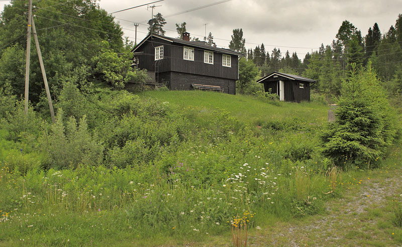 Helgesjøn, Hedmark, Norge d. 16 juni 2017. Fotograf; Lars Andersen