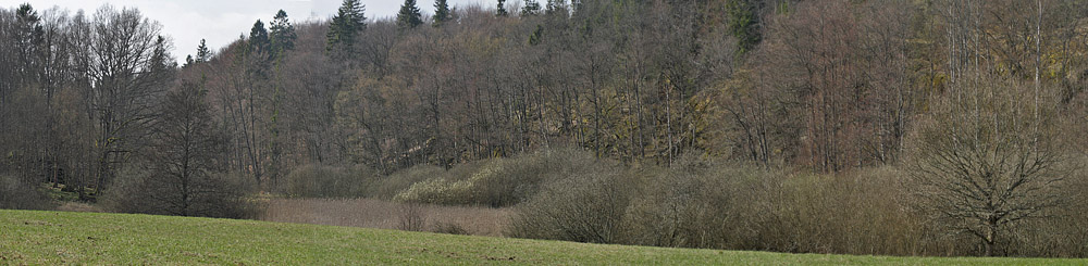 Lokalitet for stlig Takvinge. Brkne-Hoby, Blekinge, Sverige d. 9 april 2017. Fotograf; Lars Andersen