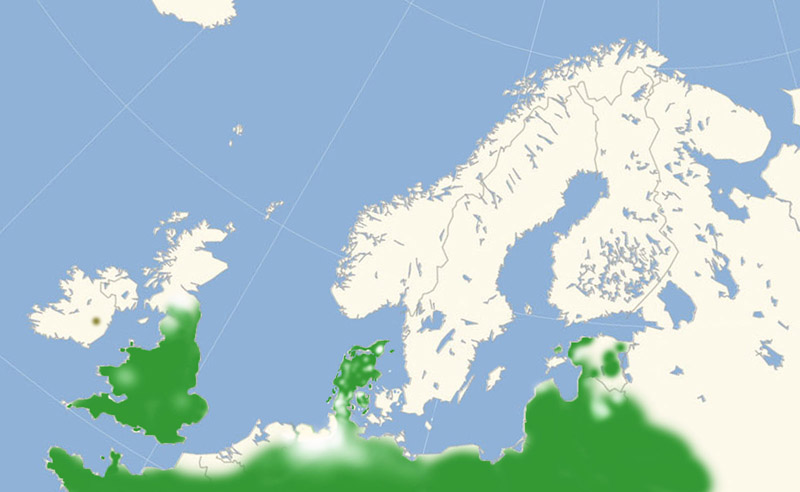 Skråstregbredpande udbredelse i Nordeuropa 2010-16. Kort lavet i november 2016 af Lars Andersen