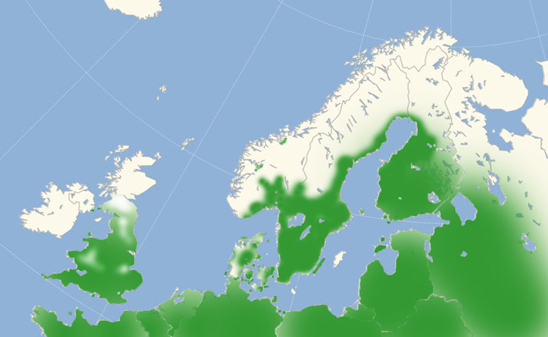 Stor Bredpande udbredelse i Nordeuropa 2010-16. Kort lavet i november 2016 af Lars Andersen