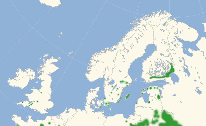 Sortplettet Blfugl udbredelse i Nordeuropa 2010-17. Kort lavet i april 2017 af Lars Andersen