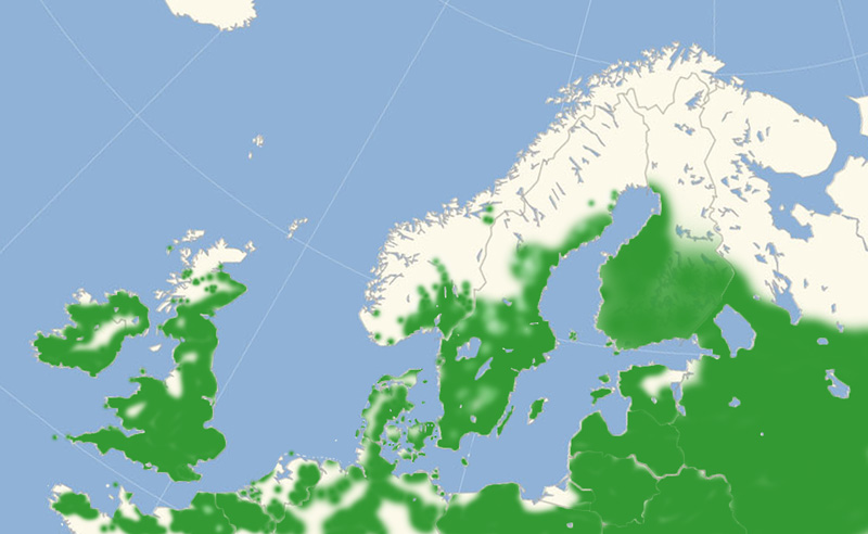 Engrandje udbredelse i Nordeuropa 2010-17. Kort lavet i juni 2017 af Lars Andersen