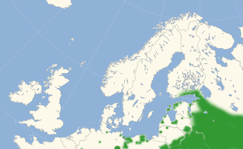 Lille Grsrandje udbredelse i Nordeuropa 2010-17. Kort lavet i april 2017 af Lars Andersen