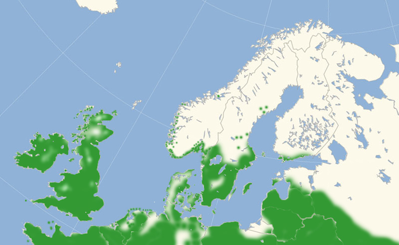 Græsrandøje udbredelse i Nordeuropa 2010-17. Kort lavet i april 2017 af Lars Andersen