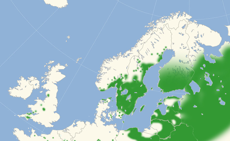 Skovperlemorsommerfugle udbredelse i Nordeuropa 2010-17. Kort lavet i july 2017 af Lars Andersen