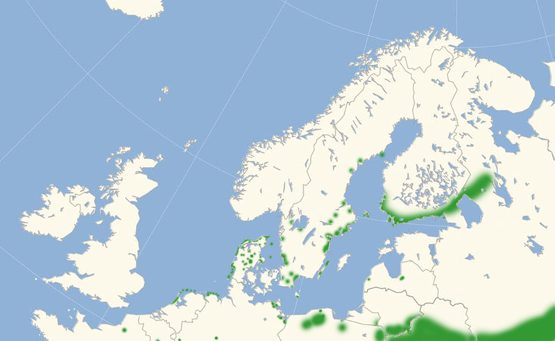 Klitperlemorsommerfugle udbredelse i Nordeuropa 2010-17. Kort lavet i july 2017 af Lars Andersen