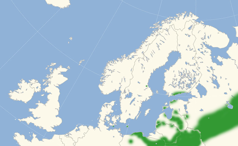 Østlig Perlemorsommerfugle udbredelse i Nordeuropa 2010-17. Kort lavet i july 2017 af Lars Andersen