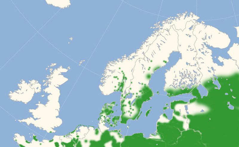 Storplettet Perlemorsommerfugl nordeuropisk udbredelseskort lavet af Lars Andersen juli 2017.