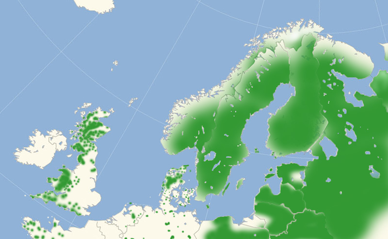 Brunlig Perlemorsommerfugl nordeuropisk udbredelseskort lavet af Lars Andersen i july 2017 