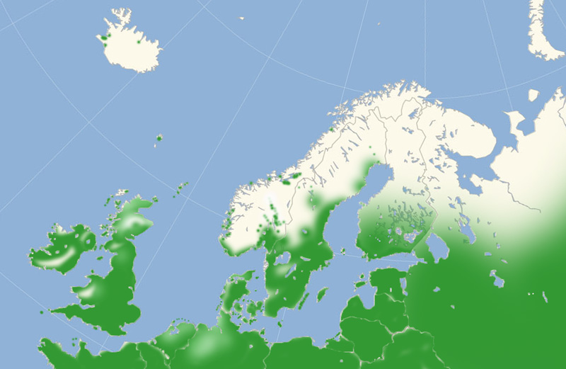 Dagpfugleje Nordeuropisk udbredelseskort lavet af Lars Andersen september 2017