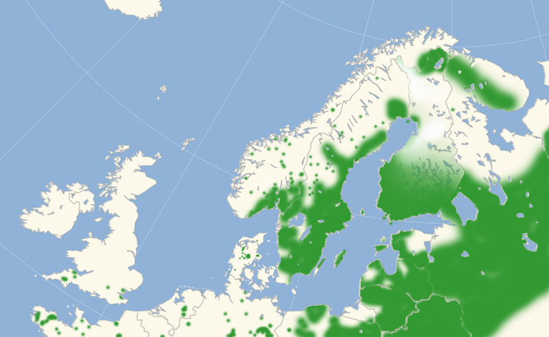 Brun Pletvinge  Nordeuropisk udbredelse 2010-17. Kort lavet i september 2017 af Lars Andersen
